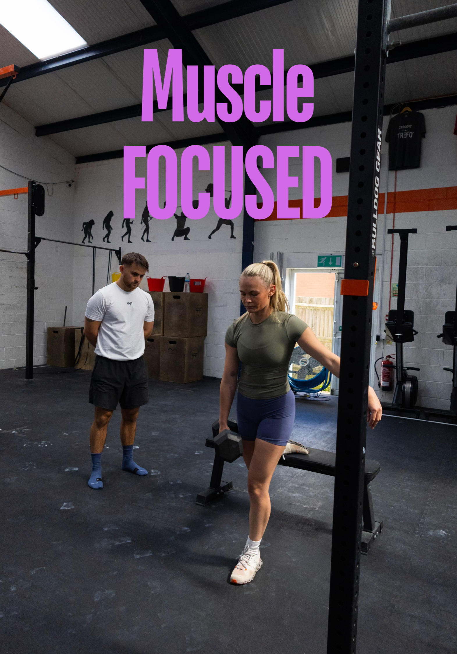 Muscle Building (2)